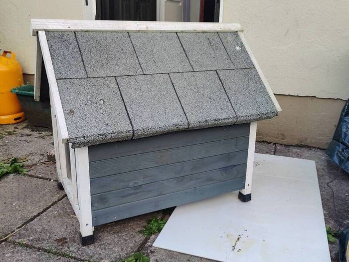 Dog House
