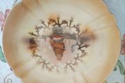 Beautiful Vintage Plate