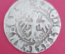 POLAND 1492 JAN OLBRACHT HALF Groschen Coin in Fine condition