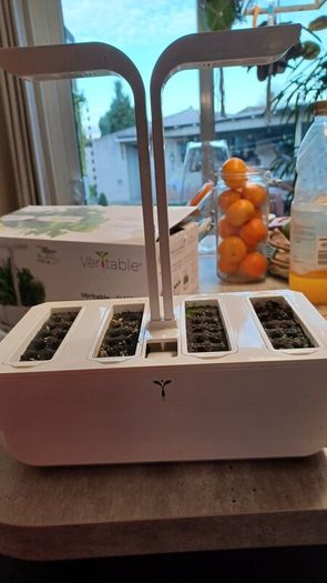 Veritable classic edition indoor garden
