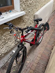Mountain bike