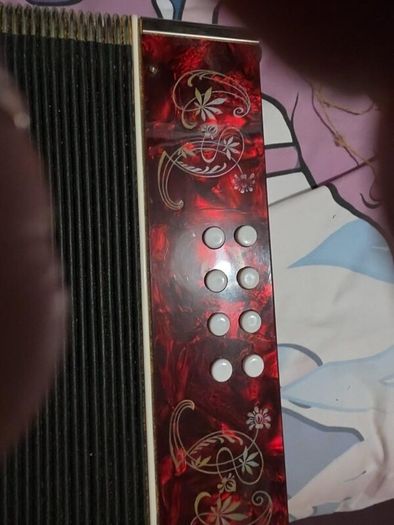 Vintage East German B/C Button Accordion  Red Pea
