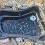 fish pond Image 3
