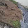 Soil Image 2
