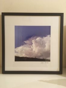 Chris Judge Dog Burst Print Framed AS NEW