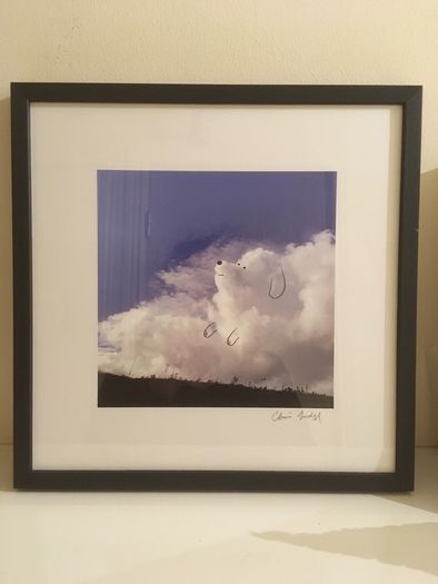 Chris Judge Dog Burst Print Framed AS NEW