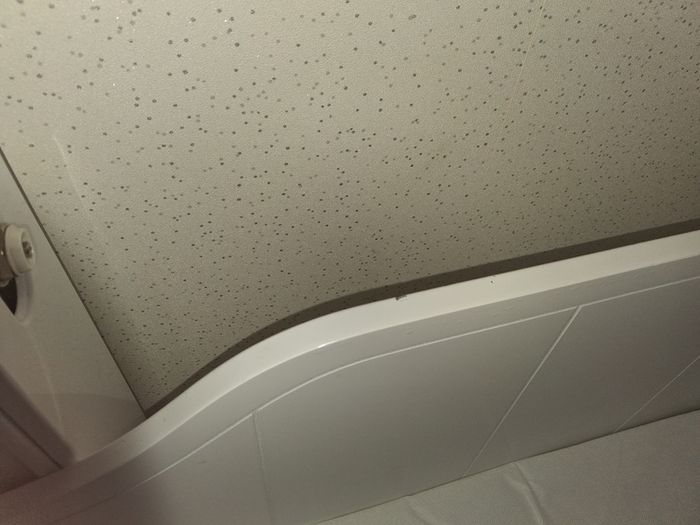 Toddler bed