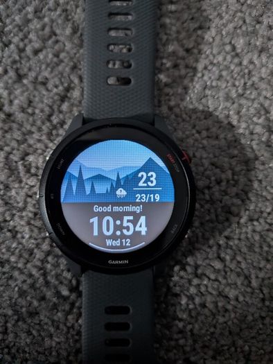 Garmin Forerunner 255: Slate Gray