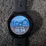 Garmin Forerunner 255: Slate Gray Image 2