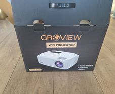 Projector