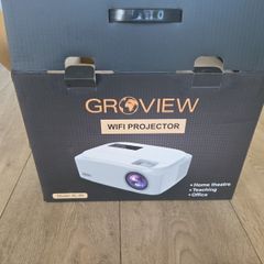 Projector