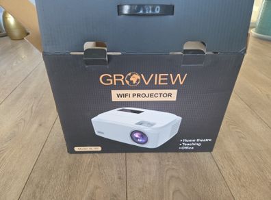Projector