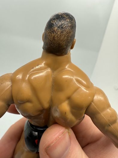 wwe Jakks The Rock action figure