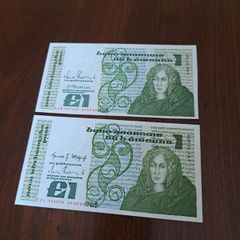 2 cleen pound noats
