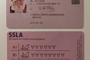 Santa Sleigh Driving Licence