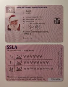 Santa Sleigh Driving Licence