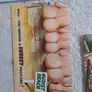 5 Bamforth nudist colony saucy postcards. Image 5