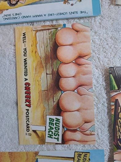 5 Bamforth nudist colony saucy postcards.