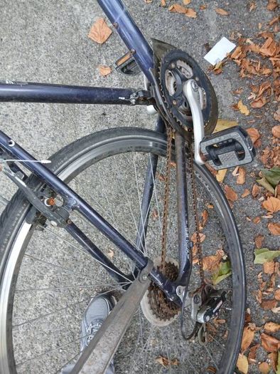 bikes