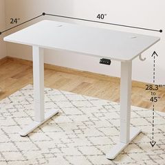 Standing Electric Desk, 100x60cm, Stand up Table