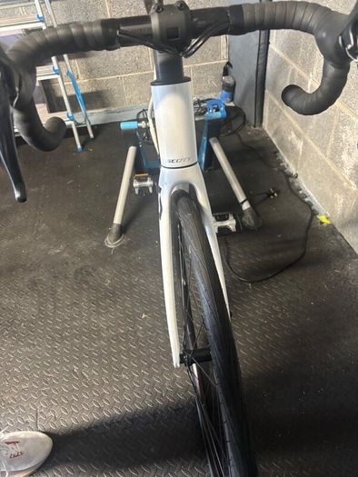 Adult Bike