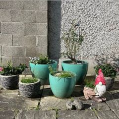 Large/Medium Glazed Earthenware Egg Flower Pot- 2 available