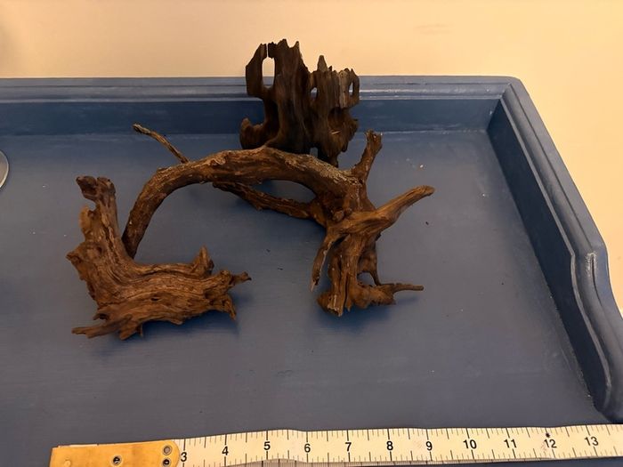 driftwood