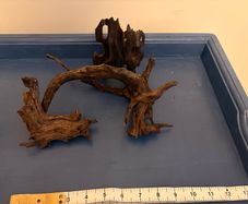 driftwood