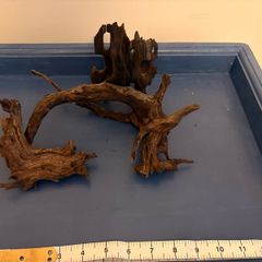driftwood