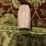 Champagne Bottle Cover Image 2