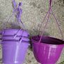 Plant pots + water globes Image 3
