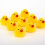 50 Yellow Rubber Ducks Image 2