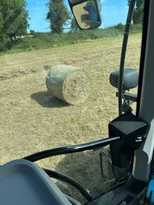 Quality hay for sale