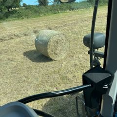 Quality hay for sale
