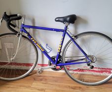 Techno racer bike