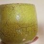 pot Image 2