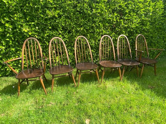 ercol Windsor dining chairs