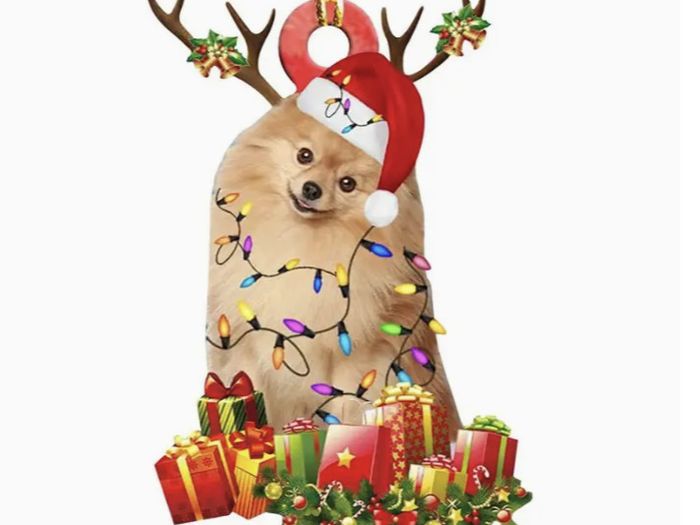 Pomerian Christmas Decoration