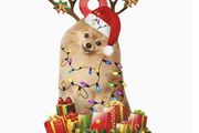 Pomerian Christmas Decoration