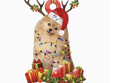Pomerian Christmas Decoration