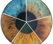 Iris Health Analysis