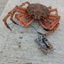 Handcrafted Crab Snare Trap Image 5