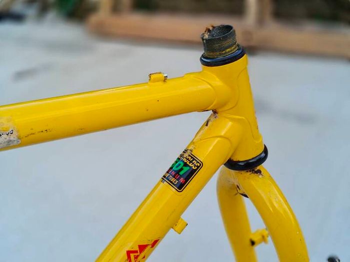 Lugged MTB frame