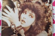 Kate Bush The Dreaming Vinyl