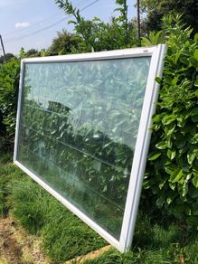 windows