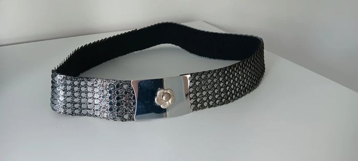 Silver Belt with Rose Buckle Clip