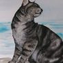 Pet portraits in Oils Image 2