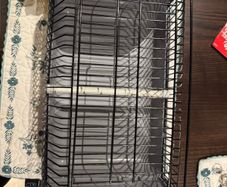 Bird transport cage