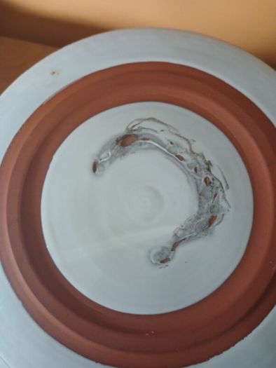 Paul Maloney dinner plates