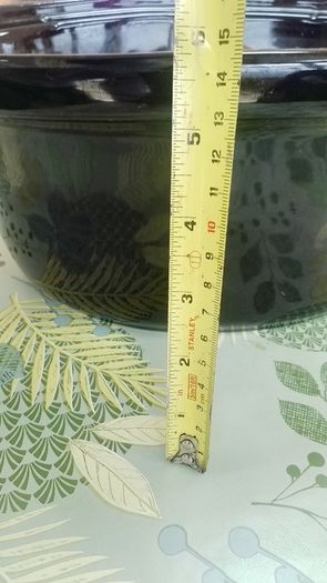 Slow cooker  insert dish